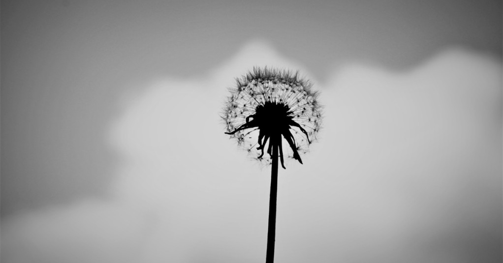 Honestly, It’s Time for a New&nbsp;Season